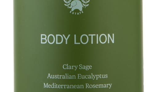 Flamingo Estate Clary Sage & Ionian Bergamot Body Lotion 16.9 Oz. In Green
