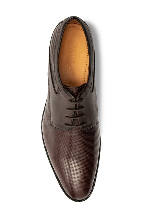 Carlos Santana Power Print Derby In Brown