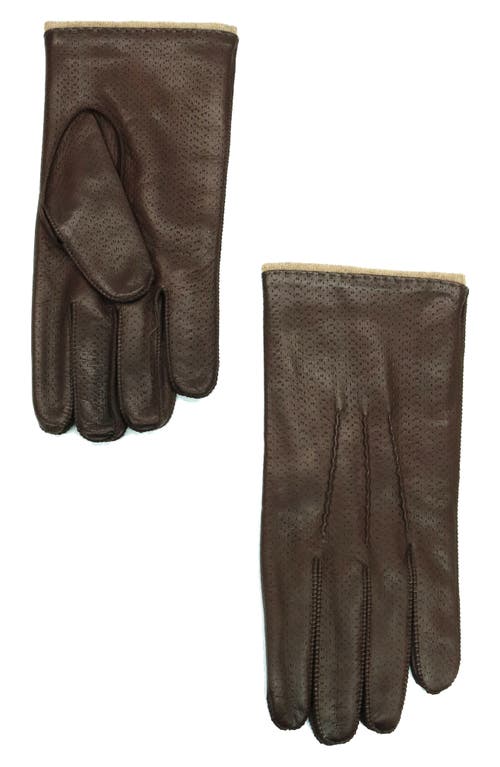 Shop Portolano Perforated Leather Gloves In Mahogany/asinel