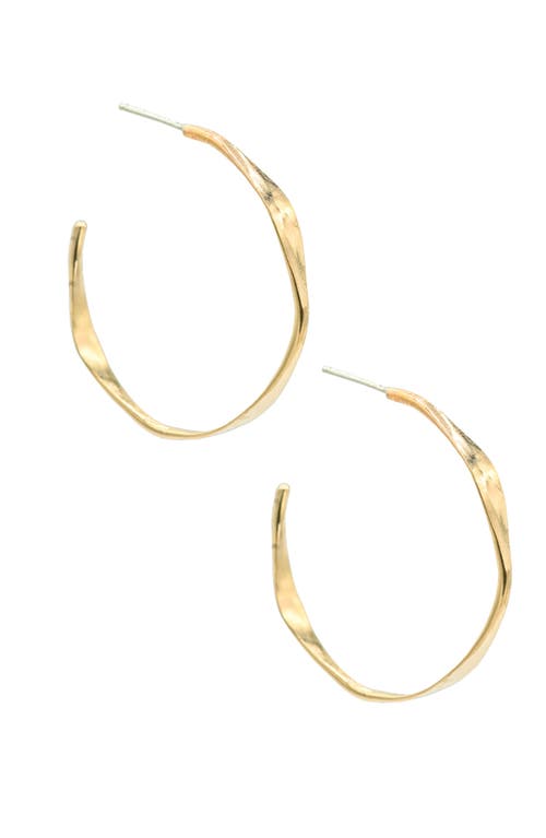 Albisia Scallop Hoops In 14k Gold Filled
