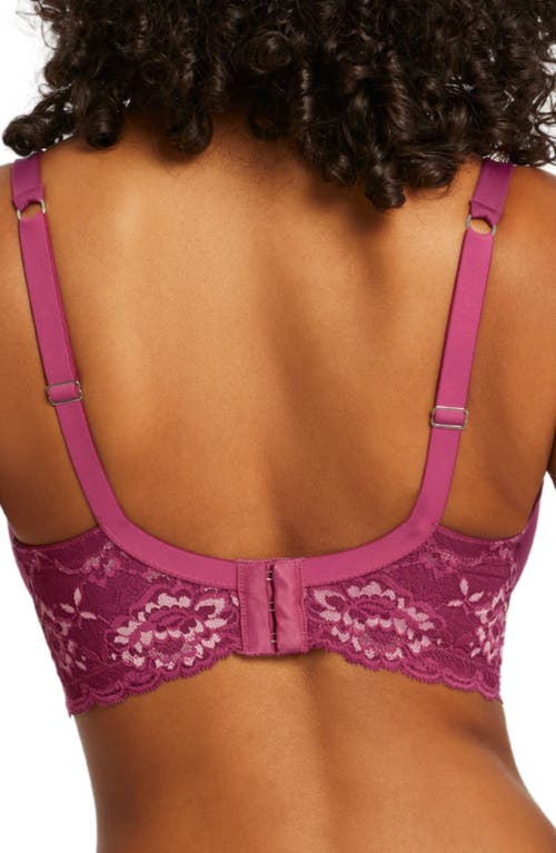 Shop Montelle Intimates Pure Plus Underwire T-shirt Bra In Cranberry/rose