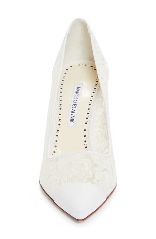 Shop Manolo Blahnik Sololaria Pointed Toe Pump In White