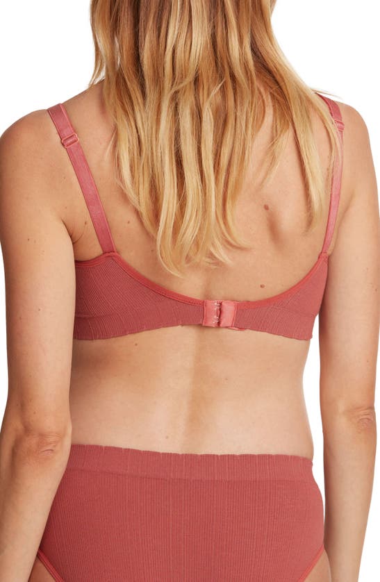 Shop Cache Coeur Zoe Rib Maternity/nursing Bra In Terracotta