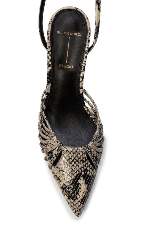 Black Suede Studio Grazia 50 Ankle Strap Pointed Toe Kitten Heel Pump In Peyote Snake