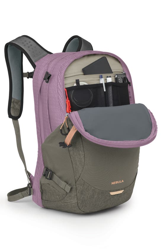 Shop Osprey Nebula 32-liter Backpack In Pashmina/ Tan Concrete