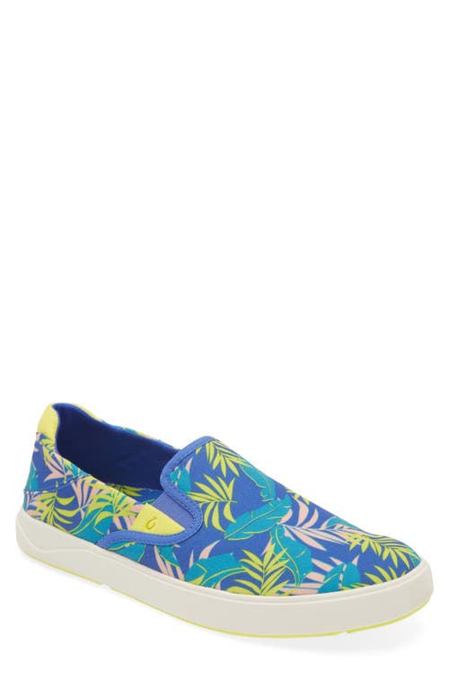 Lae'ahi Pa'I Slip-On Sneaker in Sunset Blue /Aloha