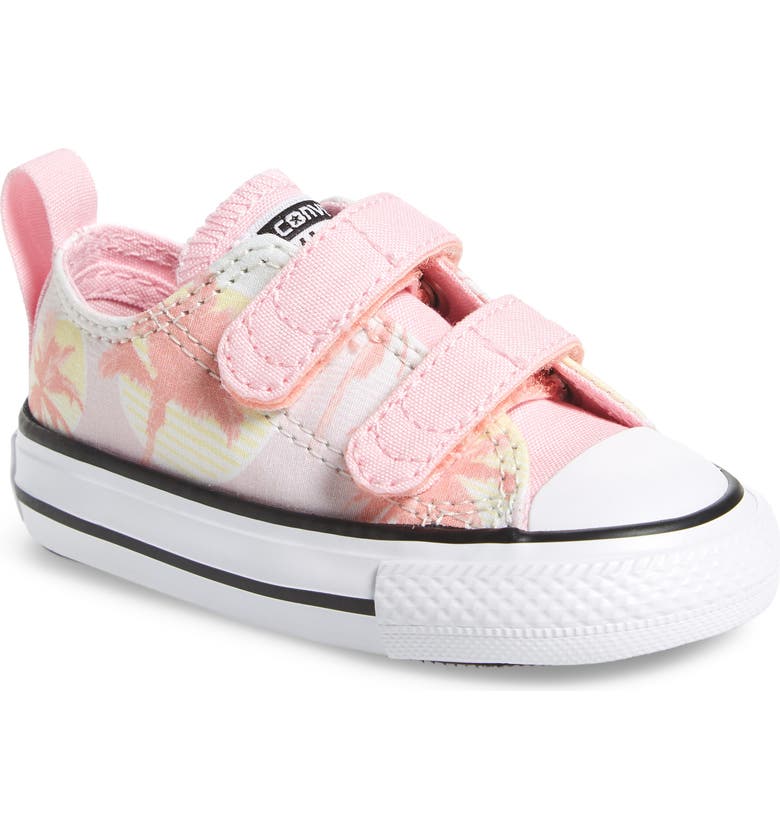 converse palm tree converse palm tree