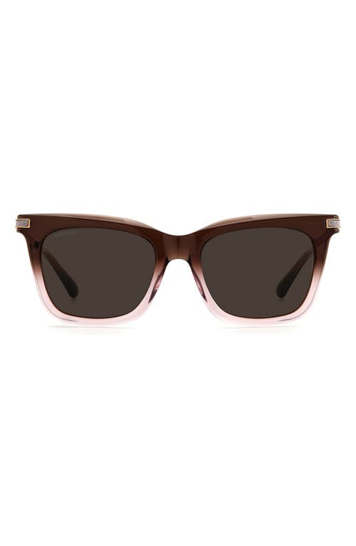 Jimmy Choo 52mm Cat Eye Sunglasses in Brown Nude /Brown