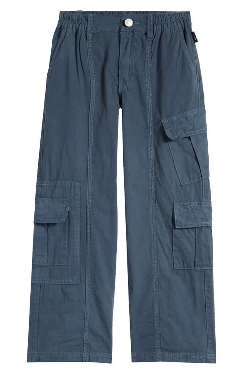 Shop Pacsun Kids' Puddle Cargo Pants In Illusion Blue