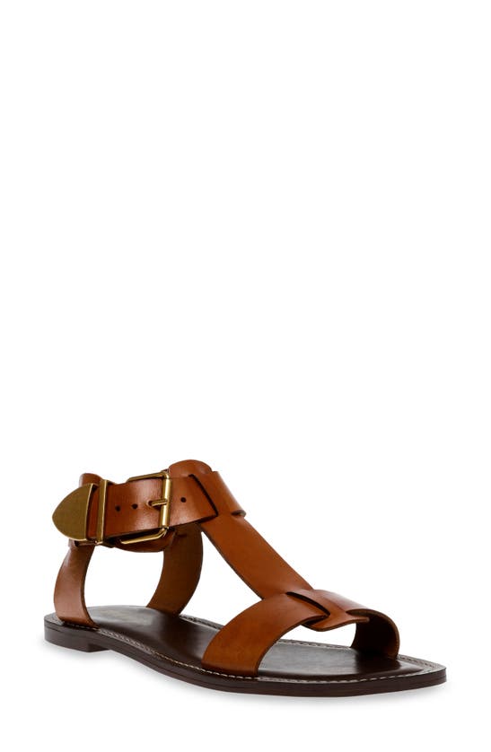 Shop Steve Madden Brazinn Gladiator Sandal In Tan Leather