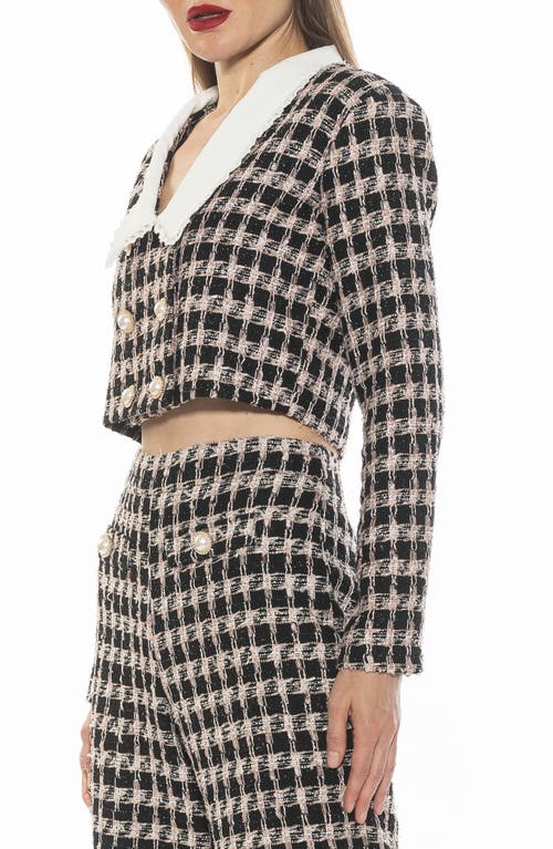 Alexia Admor Aurelia Cropped Tweed Jacket In Black/pink