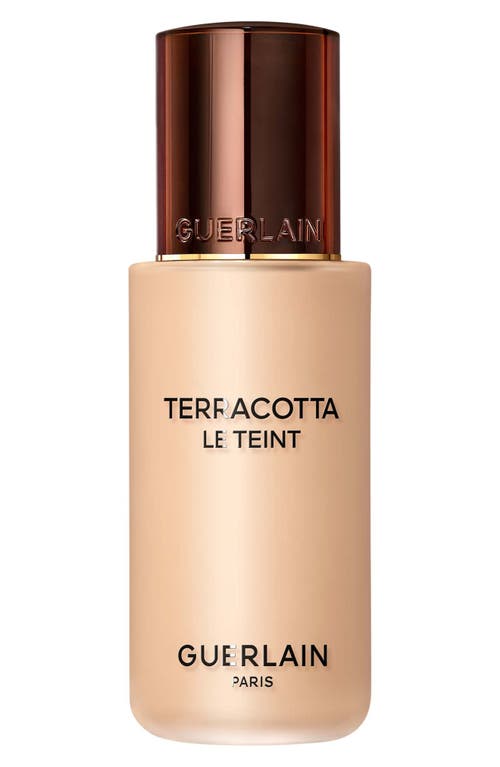 Terracotta Le Teint Healthy Glow Foundation in 2W Warm