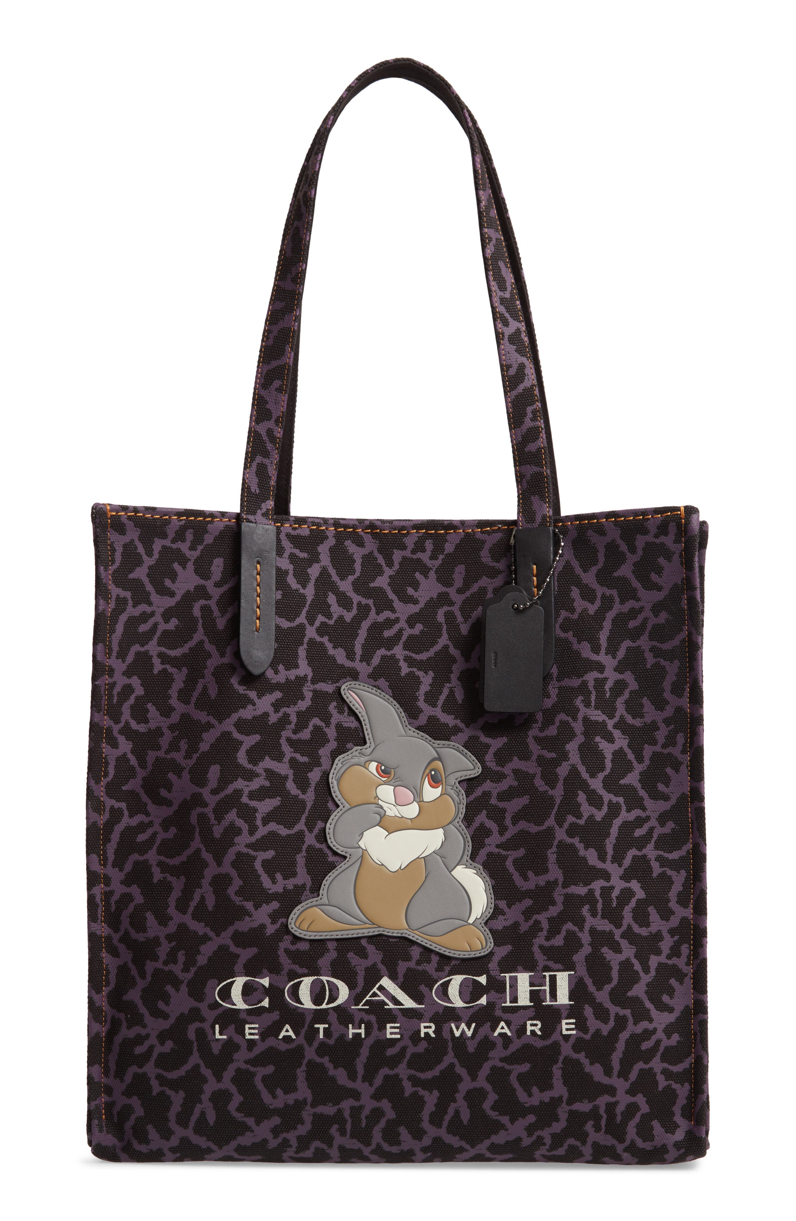 coach disney thumper