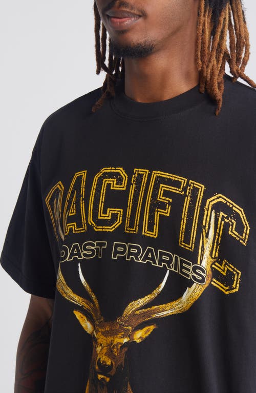 Shop Id Supply Co Pacific Coast Prairies Graphic T-shirt In Black