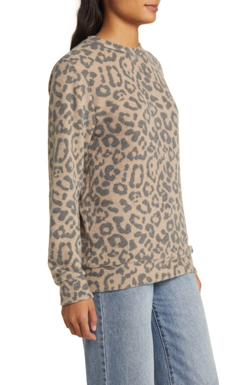 Shop Loveappella Leopard Print Long Sleeve Hacci Knit Top In Camel/charcoal