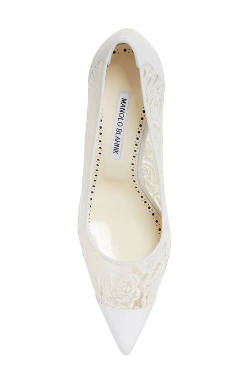 Shop Manolo Blahnik Sololaria Pointed Toe Pump In White