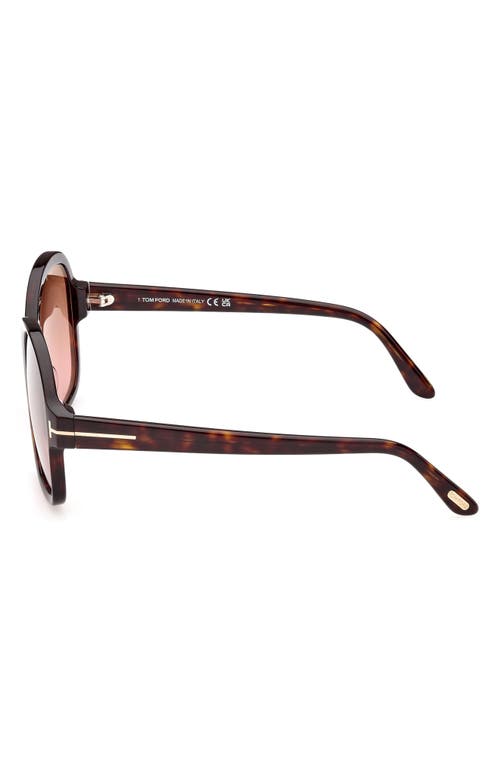 Shop Tom Ford Hanley 57mm Butterfly Sunglasses In Shiny Dark Havana/brown