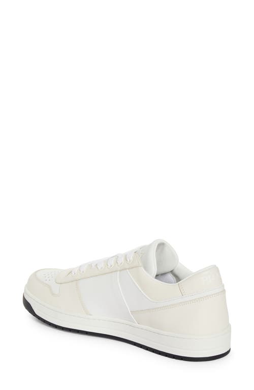 Shop Prada Downtown Leather Sneaker In Bianco/avorio