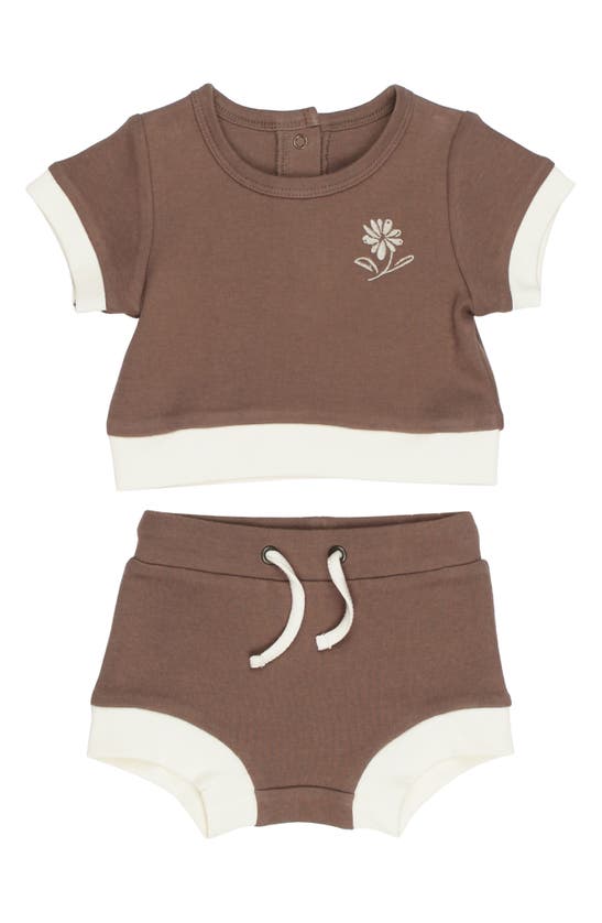 Shop L'ovedbaby Embroidered Organic Cotton T-shirt & Shorts Set In Latte Flower