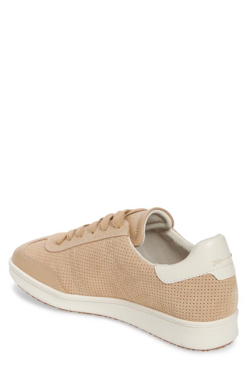 Shop Frankie4 Drew Sneaker In Sand Suede