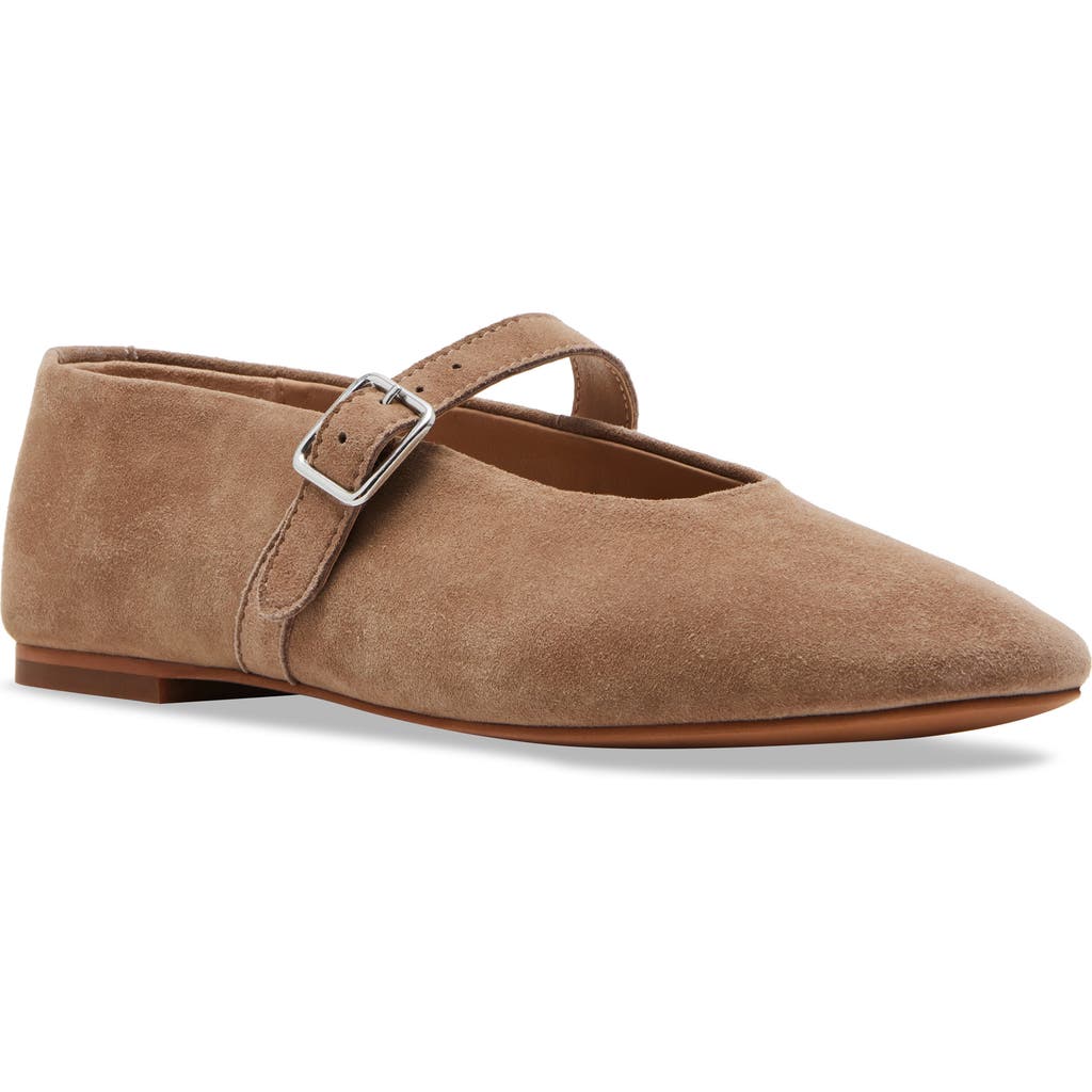 Shop Steve Madden Dreaming Mary Jane Flat In Taupe Suede
