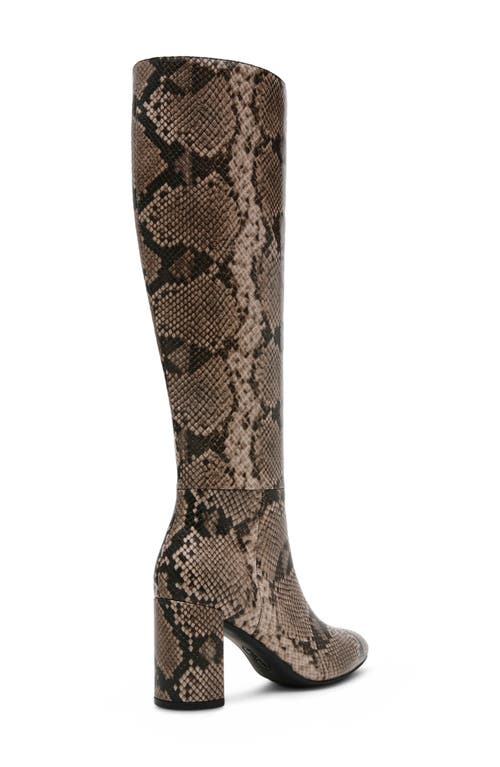 Shop Anne Klein Beth Snakeskin Embossed Knee High Boot In Natural/snake Pu