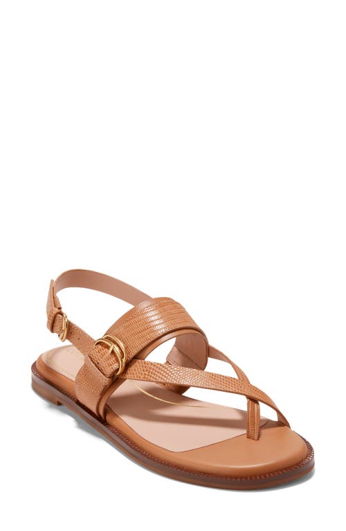 Cole Haan Anica Lux Slingback Sandal Pecan Leather at Nordstrom,