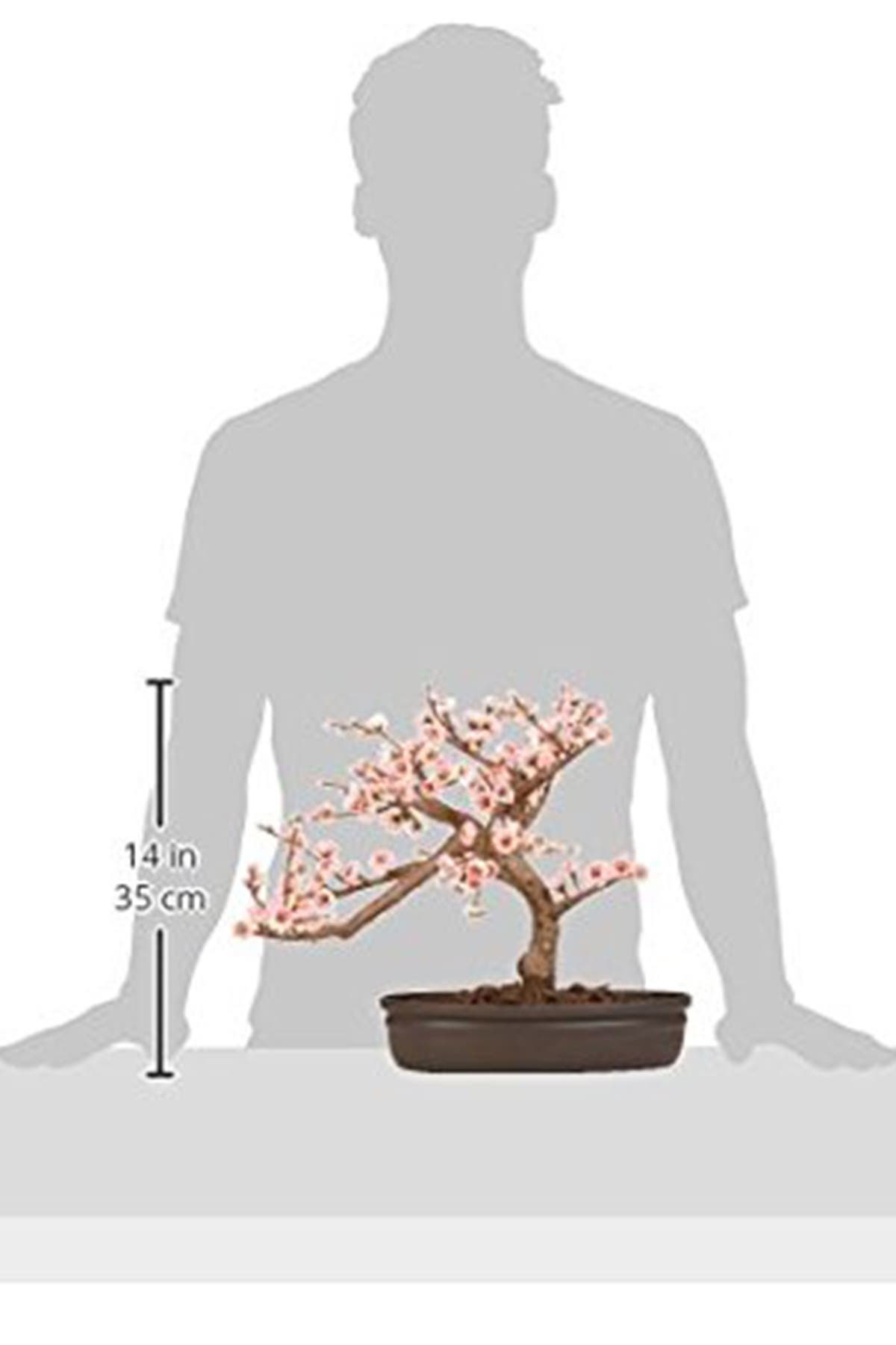 Nearly Natural Cherry Blossom Bonsai Silk Tree Nordstrom Rack