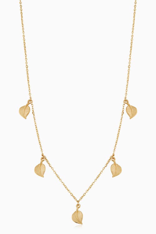 Oradina 14k Yellow Gold New Beginnings Station Choker In Yellow Gold