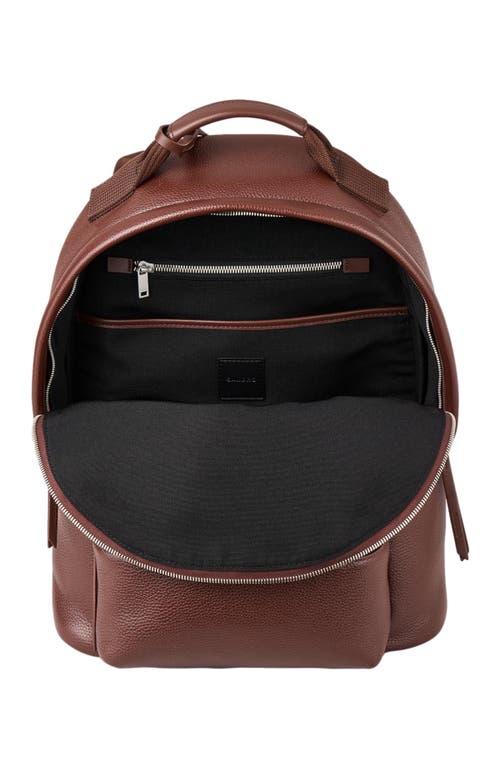 Shop Sandro Coated Canvas Backpack In Black Brown