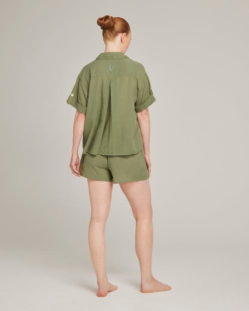 Nudea The Short Sleeve Shirt In Sage