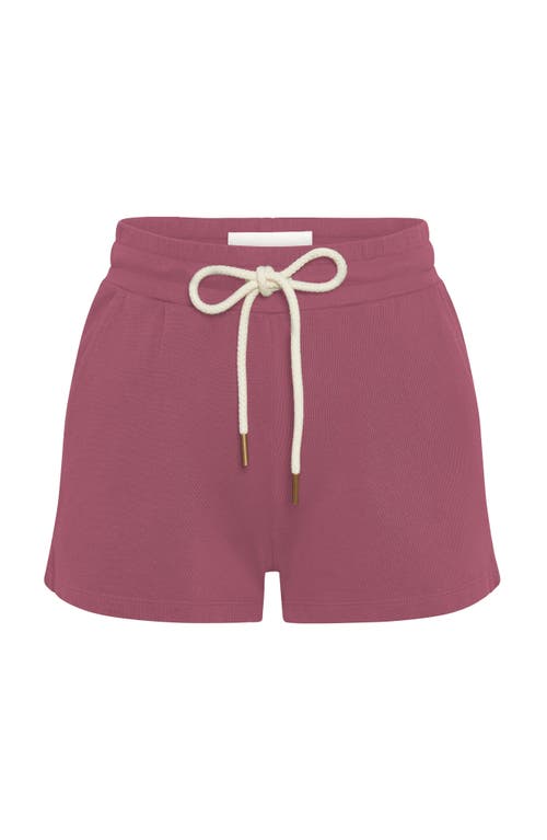 The Standard Stitch The Jogger Short In Plum