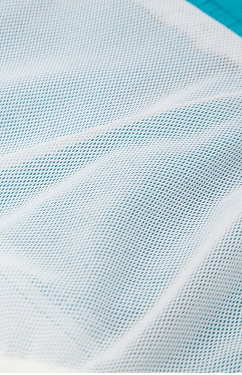 Rokka&rolla Toddler Swim Trunks With Mesh Lining Upf 50+ In Teal Blue Shark