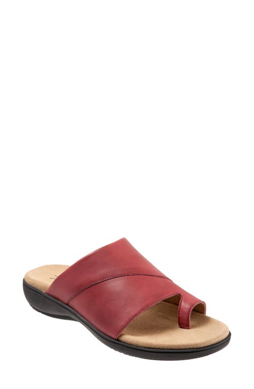 Trotters Regina Slide Sandal Dark Red at Nordstrom,