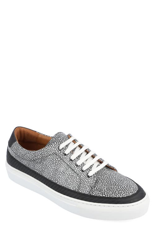 TAFT Fifth Ave Sneaker Stone at Nordstrom,