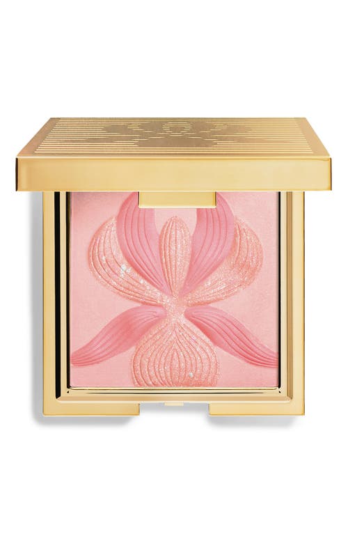 Sisley Paris LOrchidée Highlighter Blush in 2 L'orchidee Rose at Nordstrom