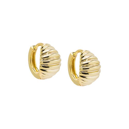 Shop Adina Eden By  Wide Mini Ridged Huggie Earring In Gold