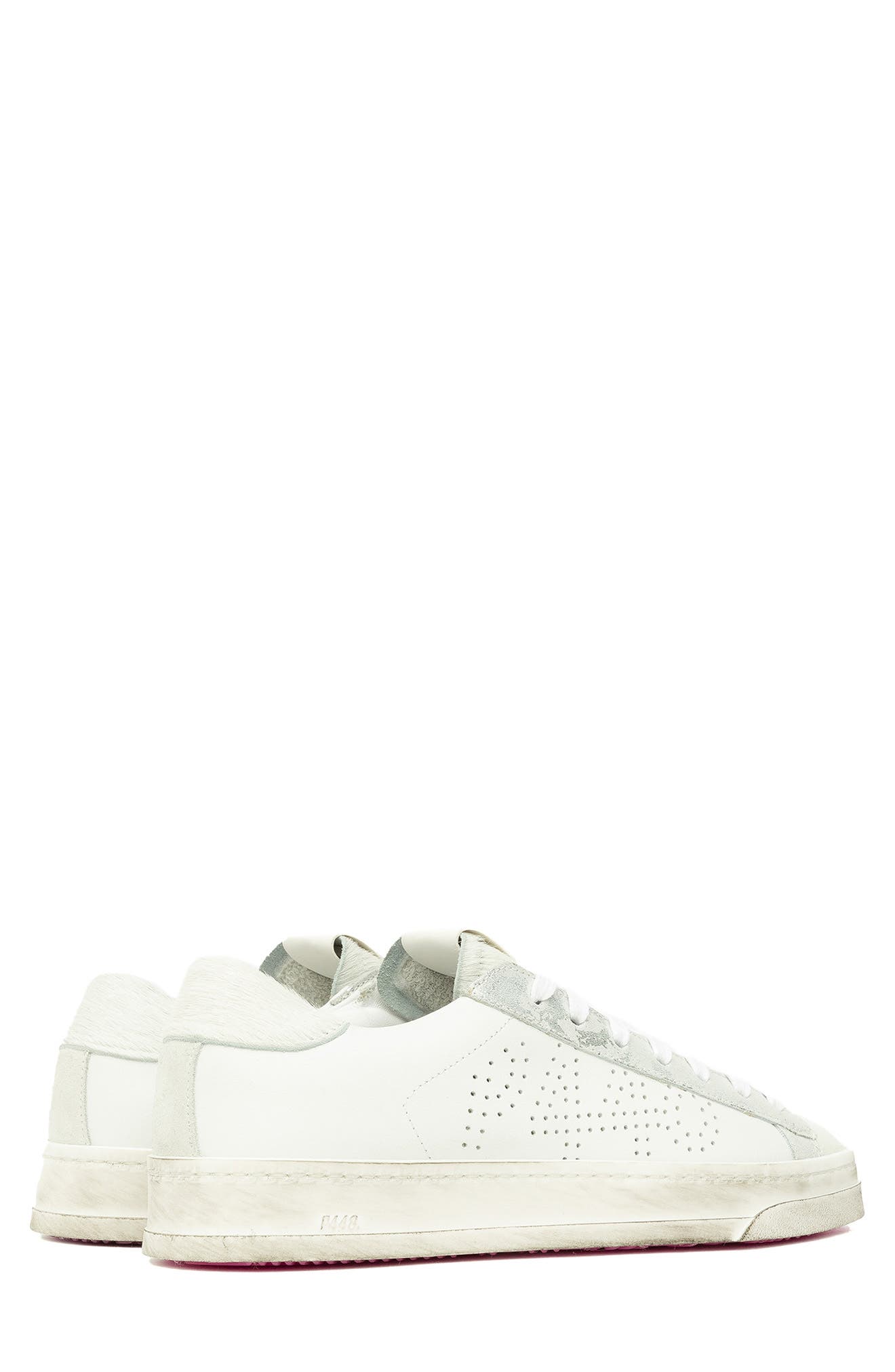 jack zebby sneaker