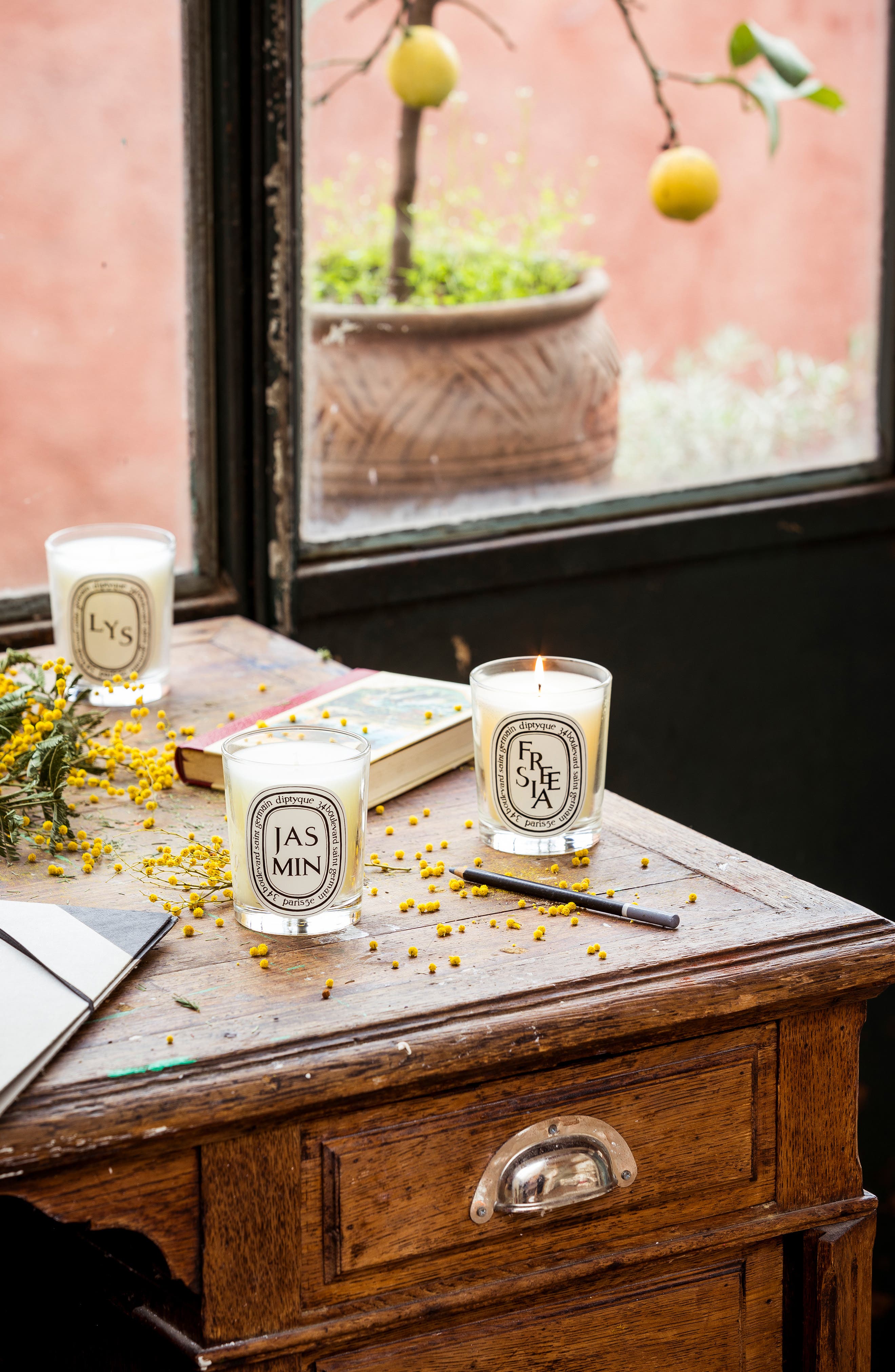Diptyque Jasmin (Jasmine) Scented Candle Nordstrom