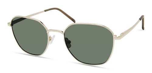 Eco Osier Sunglasses In Gold