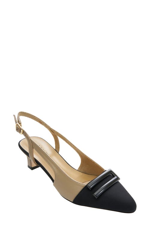 Tady Pointed Toe Slingback Pump in Pudding