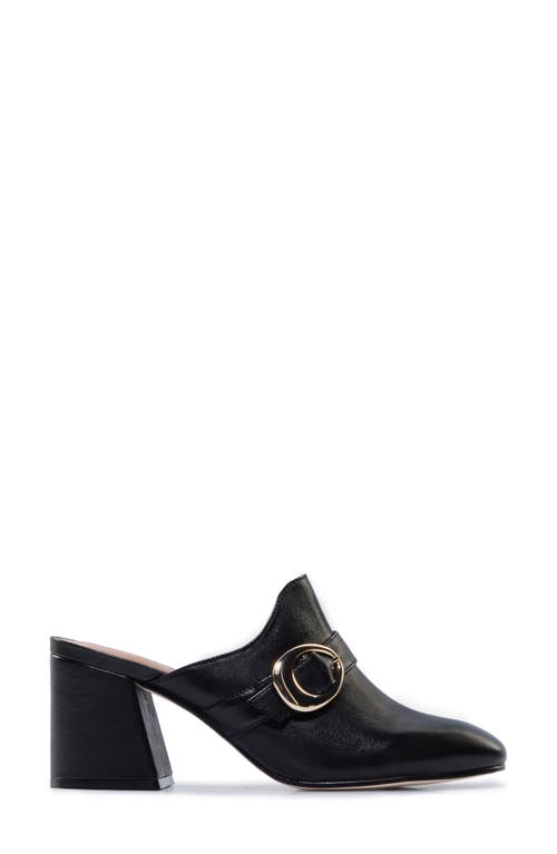 Shop Bernardo Footwear Natasia Mule In Black