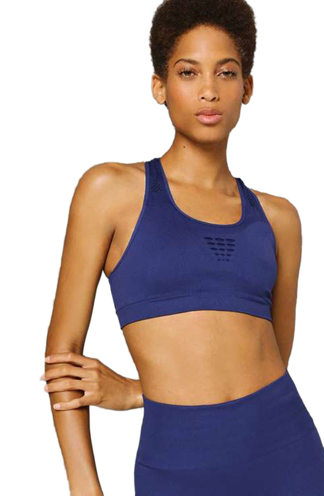 ivy park blue sports bra