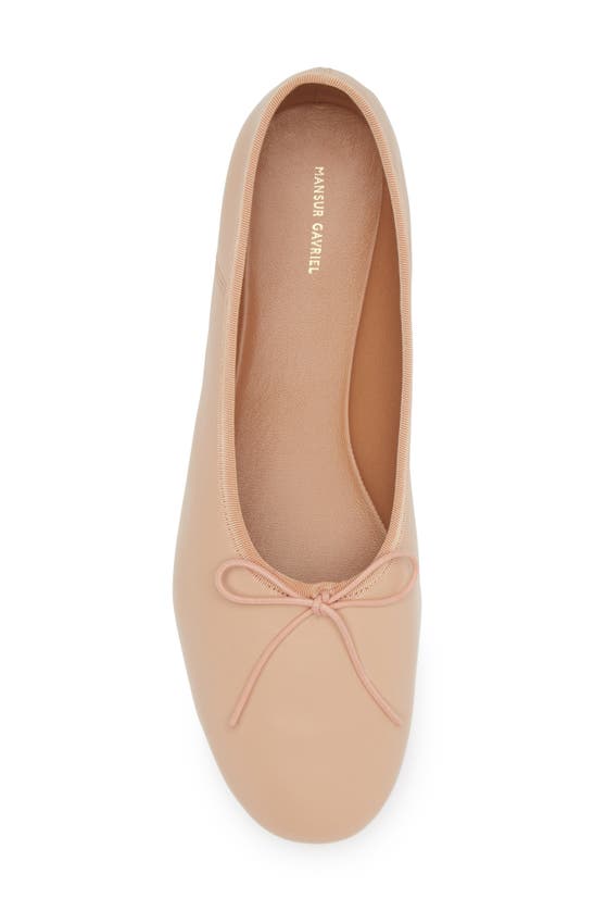 Shop Mansur Gavriel Dream Ballerina Flat In Ballet