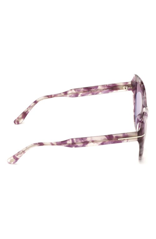 Shop Tom Ford 55mm Cat Eye Sunglasses In Havana/other/violet