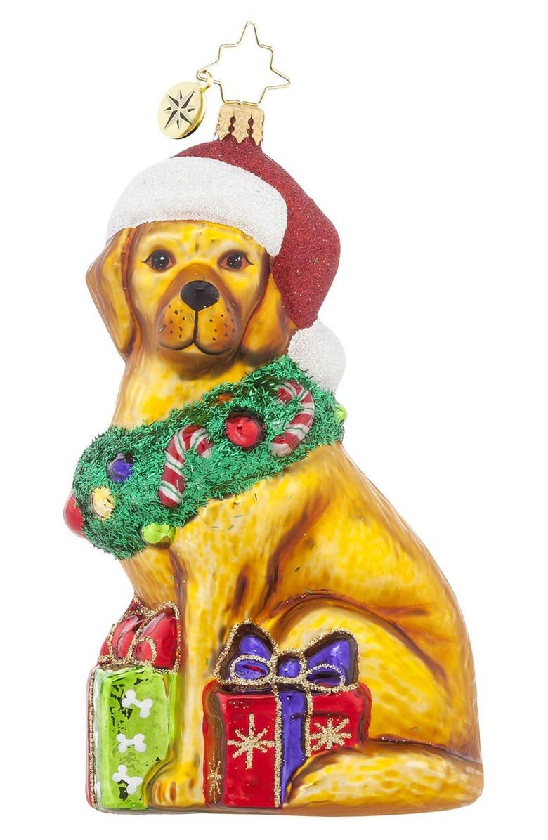 Christopher Radko 'Christmas Retriever' Dog Ornament