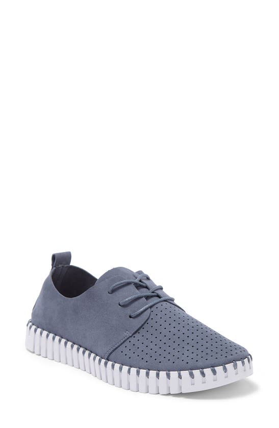 Ilse Jacobsen Tulip Sneaker In Grey Blue