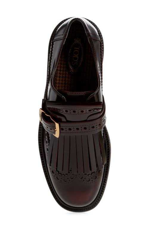 Shop Tod's Kiltie Fringe Loafer In Mosto