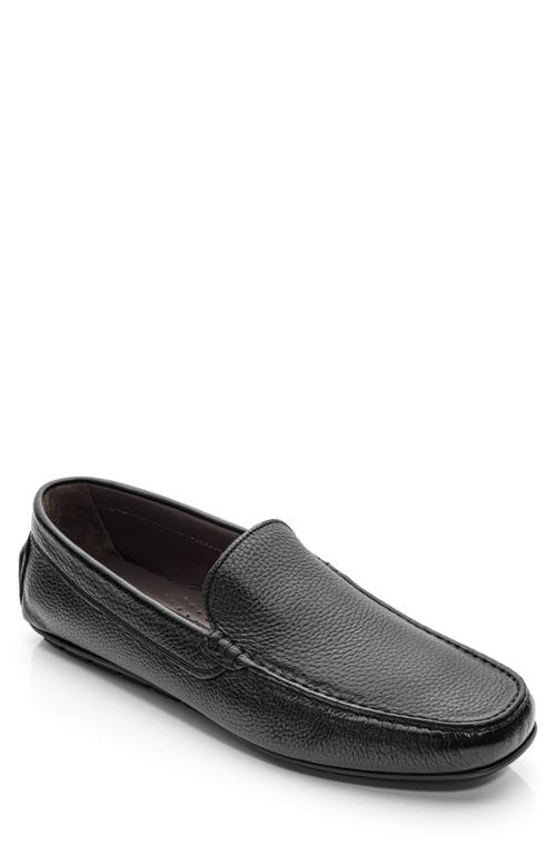 Largo Driving Shoe in Black