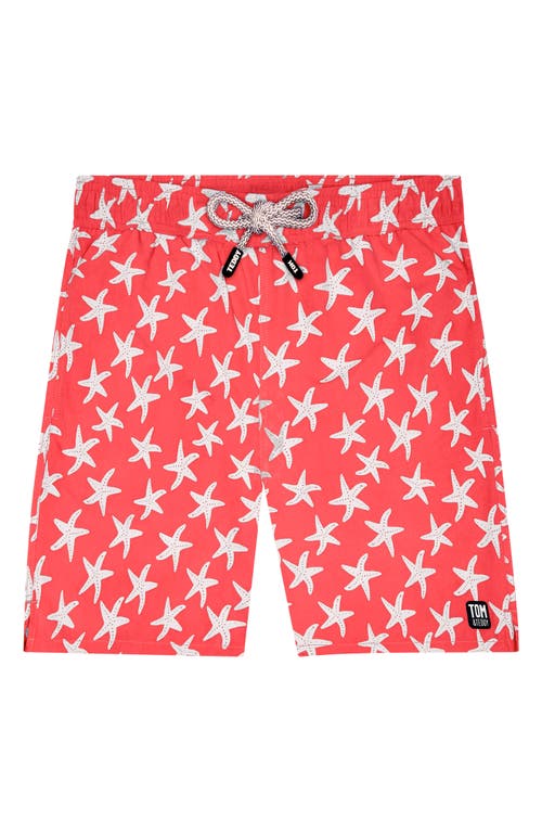 Shop Tom & Teddy Starfish Print Swim Trunks In Rose/blue